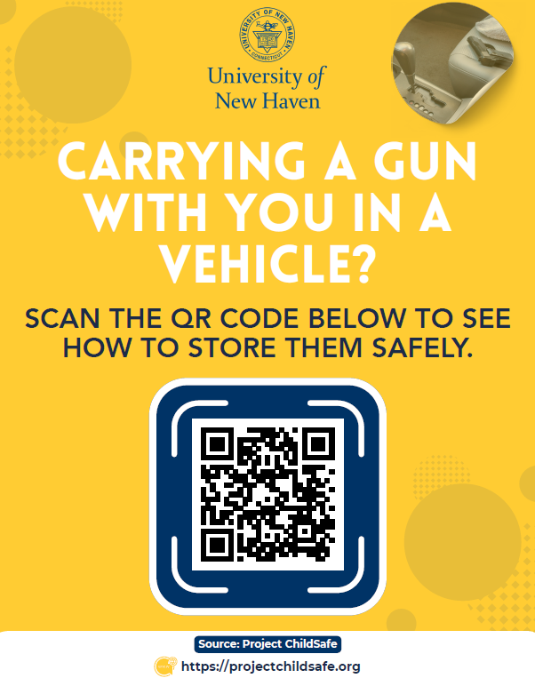 Carry a Gun Flyer