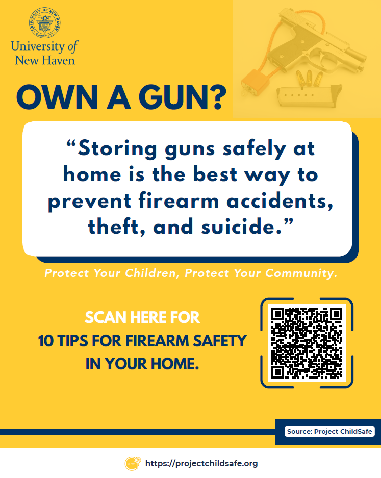 Guns at Home