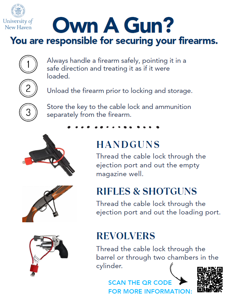 Own a Gun? Flyer