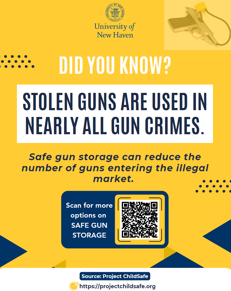 Stolen Guns Flyer